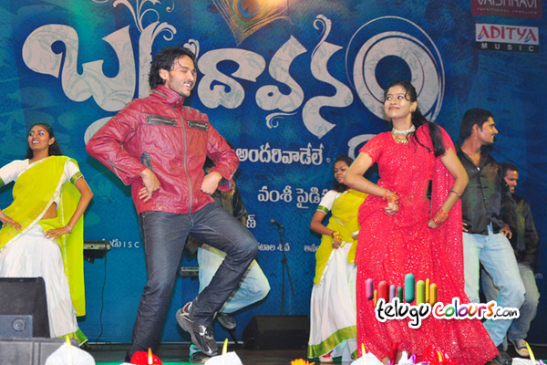 Jr Ntr Brindavanam Audio Released